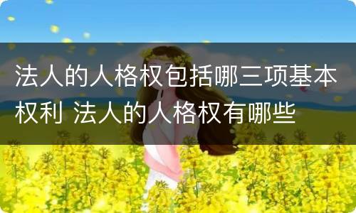 法人的人格权包括哪三项基本权利 法人的人格权有哪些