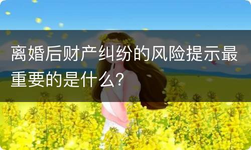 离婚后财产纠纷的风险提示最重要的是什么？