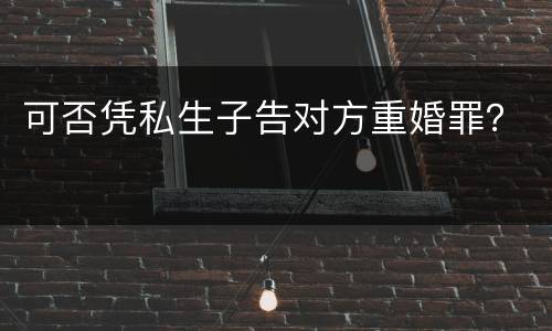 可否凭私生子告对方重婚罪？