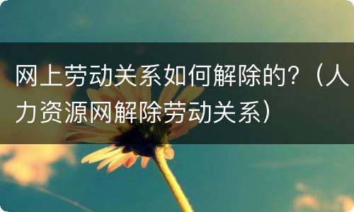 网上劳动关系如何解除的?（人力资源网解除劳动关系）