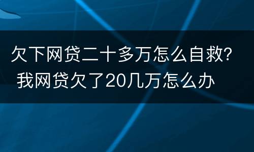 欠下网贷二十多万怎么自救？ 我网贷欠了20几万怎么办