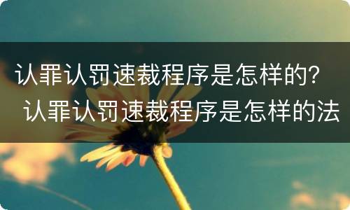 认罪认罚速裁程序是怎样的？ 认罪认罚速裁程序是怎样的法律
