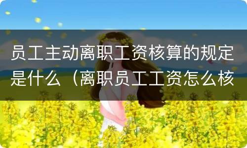 员工主动离职工资核算的规定是什么（离职员工工资怎么核算）