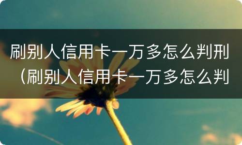 刷别人信用卡一万多怎么判刑（刷别人信用卡一万多怎么判刑的）