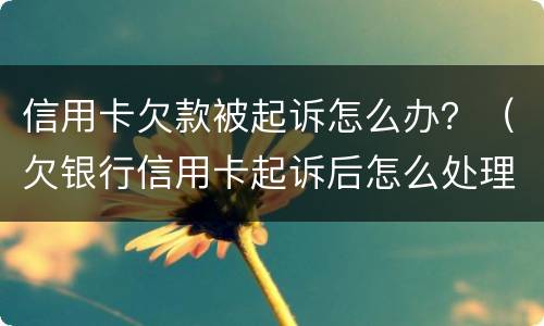 信用卡欠款被起诉怎么办？（欠银行信用卡起诉后怎么处理）