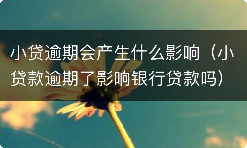 小贷逾期会产生什么影响（小贷款逾期了影响银行贷款吗）