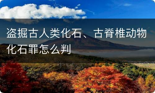 盗掘古人类化石、古脊椎动物化石罪怎么判