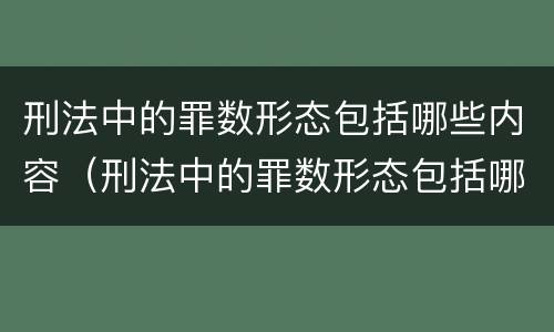 刑法中的罪数形态包括哪些内容（刑法中的罪数形态包括哪些内容呢）
