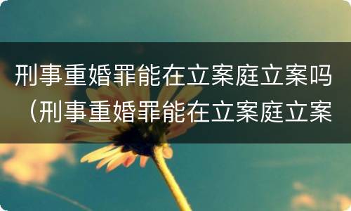 刑事重婚罪能在立案庭立案吗（刑事重婚罪能在立案庭立案吗知乎）