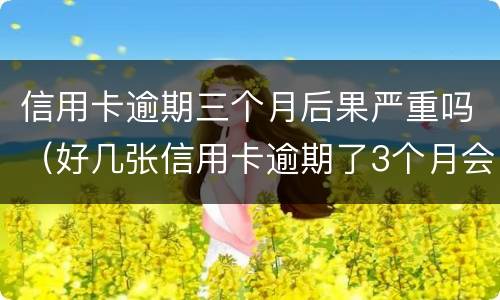 信用卡逾期三个月后果严重吗（好几张信用卡逾期了3个月会怎么样）
