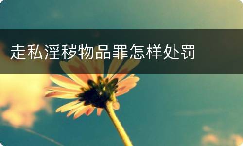 走私淫秽物品罪怎样处罚