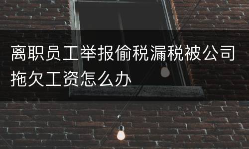 离职员工举报偷税漏税被公司拖欠工资怎么办