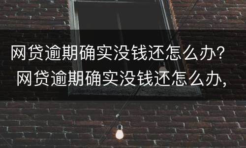 网贷逾期确实没钱还怎么办？ 网贷逾期确实没钱还怎么办,没有可执行的资产