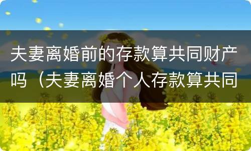 夫妻离婚前的存款算共同财产吗（夫妻离婚个人存款算共同财产吗）
