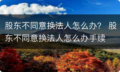 股东不同意换法人怎么办？ 股东不同意换法人怎么办手续