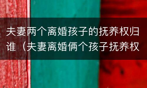 夫妻两个离婚孩子的抚养权归谁（夫妻离婚俩个孩子抚养权怎么判定）