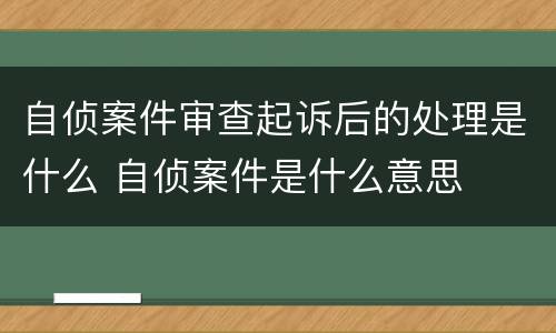 自侦案件审查起诉后的处理是什么 自侦案件是什么意思