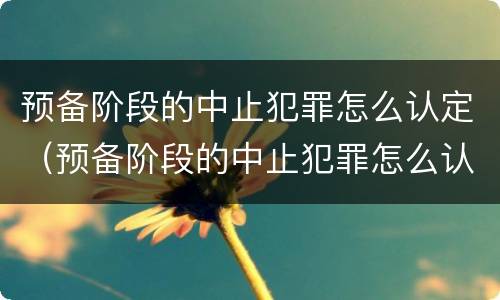预备阶段的中止犯罪怎么认定（预备阶段的中止犯罪怎么认定的）