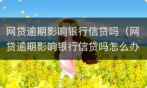 网贷逾期影响银行信贷吗（网贷逾期影响银行信贷吗怎么办）