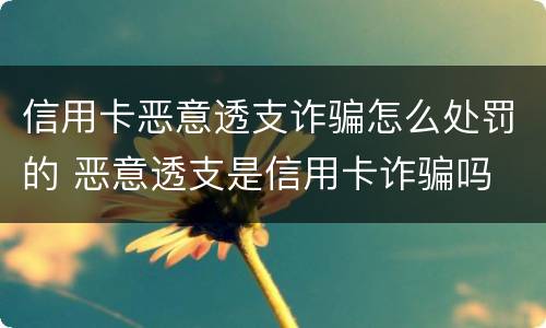 信用卡恶意透支诈骗怎么处罚的 恶意透支是信用卡诈骗吗