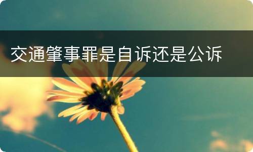 交通肇事罪是自诉还是公诉