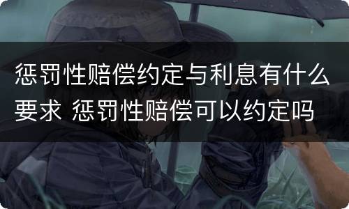 惩罚性赔偿约定与利息有什么要求 惩罚性赔偿可以约定吗