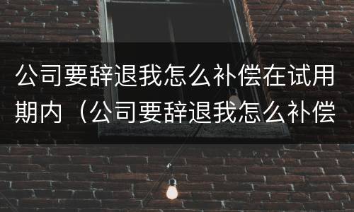 公司要辞退我怎么补偿在试用期内（公司要辞退我怎么补偿在试用期内离职）