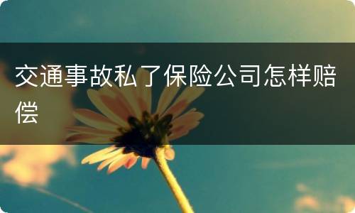 交通事故私了保险公司怎样赔偿