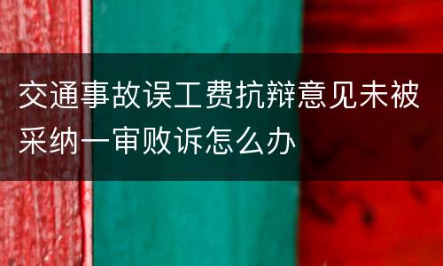 交通事故误工费抗辩意见未被采纳一审败诉怎么办