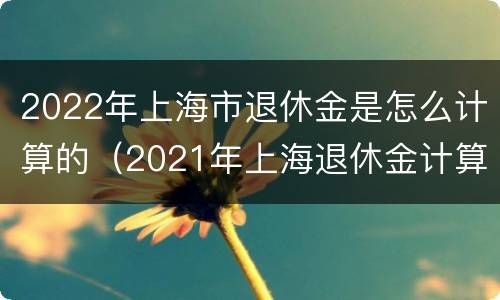 2022年上海市退休金是怎么计算的(2021年上海退休金计算公式) 2022年上海市退休金是怎么计算的(2021年上海退休金计算公式)