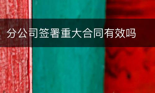 分公司签署重大合同有效吗