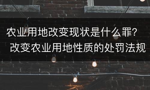 农业用地改变现状是什么罪? 改变农业用地性质的处罚法规 农业用地改变现状是什么罪? 改变农业用地性质的处罚法规