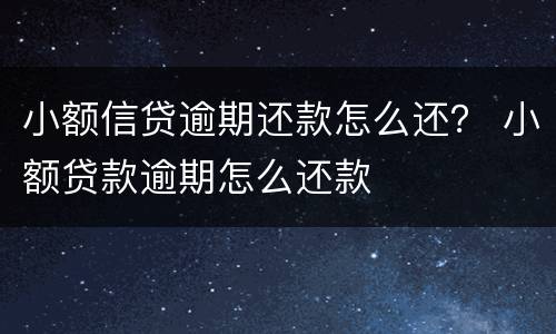 小额信贷逾期还款怎么还？ 小额贷款逾期怎么还款
