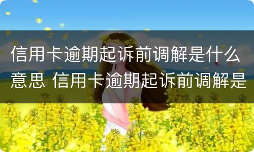 信用卡逾期起诉前调解是什么意思 信用卡逾期起诉前调解是什么意思呀