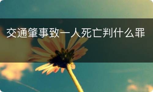 交通肇事致一人死亡判什么罪 交通肇事致一人死亡判什么罪