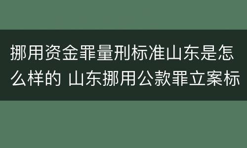 挪用资金罪量刑标准山东是怎么样的 山东挪用公款罪立案标准 挪用资金罪量刑标准山东是怎么样的 山东挪用公款罪立案标准