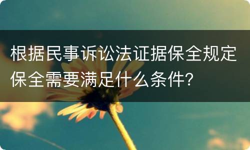 根据民事诉讼法证据保全规定保全需要满足什么条件？