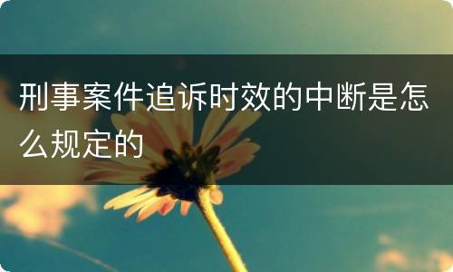 刑事案件追诉时效的中断是怎么规定的