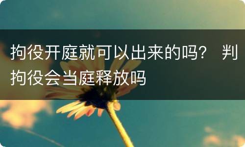 拘役开庭就可以出来的吗？ 判拘役会当庭释放吗