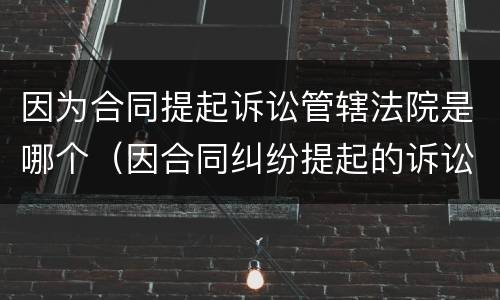 因为合同提起诉讼管辖法院是哪个（因合同纠纷提起的诉讼管辖权）