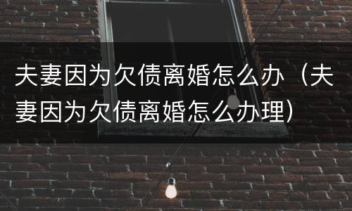 夫妻因为欠债离婚怎么办（夫妻因为欠债离婚怎么办理）