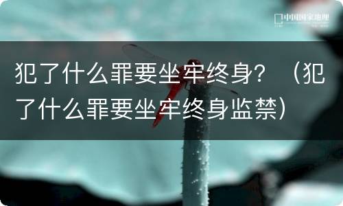 犯了什么罪要坐牢终身？（犯了什么罪要坐牢终身监禁）