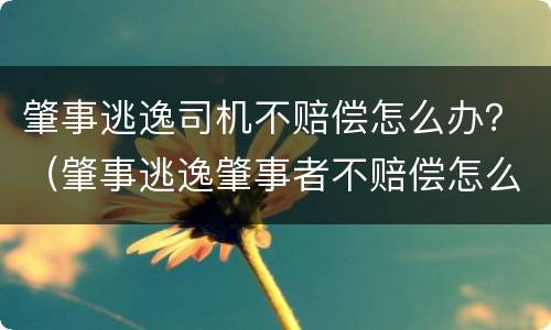 肇事逃逸司机不赔偿怎么办？（肇事逃逸肇事者不赔偿怎么办）