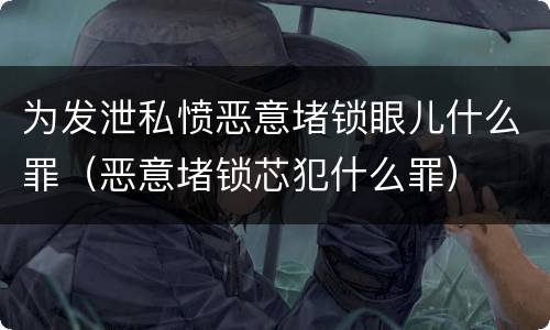 为发泄私愤恶意堵锁眼儿什么罪（恶意堵锁芯犯什么罪）