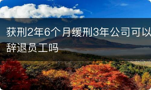 获刑2年6个月缓刑3年公司可以辞退员工吗