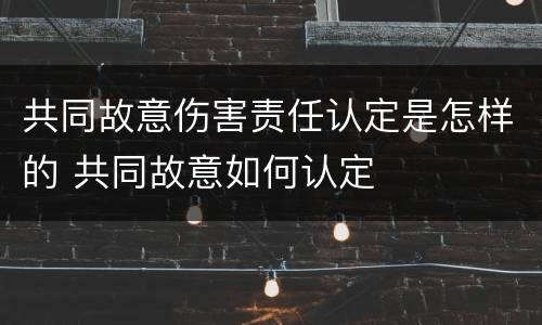 共同故意伤害责任认定是怎样的 共同故意如何认定