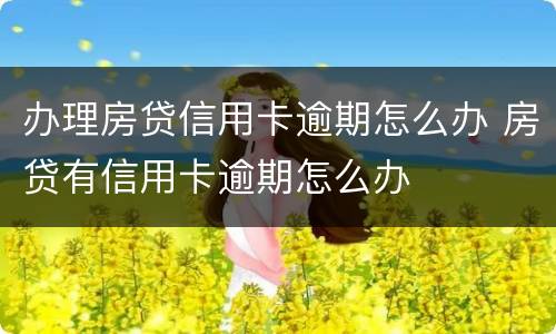 办理房贷信用卡逾期怎么办 房贷有信用卡逾期怎么办