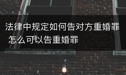 法律中规定如何告对方重婚罪 怎么可以告重婚罪