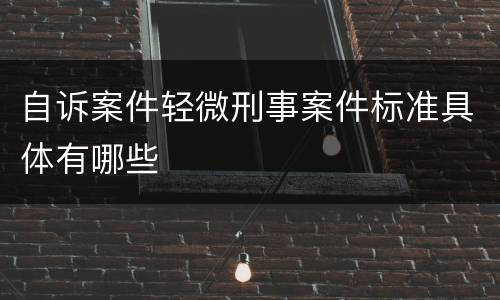 自诉案件轻微刑事案件标准具体有哪些