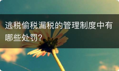 逃税偷税漏税的管理制度中有哪些处罚？